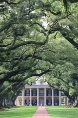 Oak Alley, Louisiana