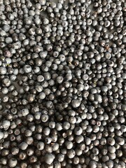 Closeup background of wild blueberries 