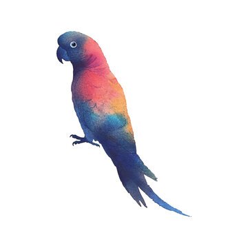 recommend clip art: abstract color silhouette of cockatoo vector illustration in watercolor style