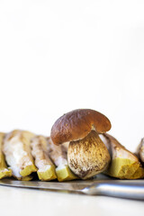 Closeup of fresh porcini mushrooms freshly picked and sliced and cut with a knife. Boletus fungi foraged from the wild and ready for cooking on the white background. Copy space