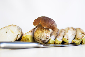 Closeup of fresh porcini mushrooms freshly picked and sliced and cut with a knife. Boletus fungi foraged from the wild and ready for cooking on the white background. Copy space