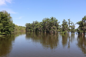 Lac Martin, Louisiane