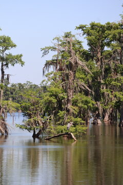 Lac Martin, Louisiane