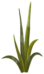 Cute Green Frog Gardener Sitting with Flower , butterfly, illustration, pattern elements, set	
