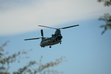 RAF Chinook Tandem Twin Rotor helicopter flying low in a blue sky