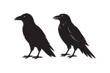 Fototapeta premium Crow silhouette vector illustration,