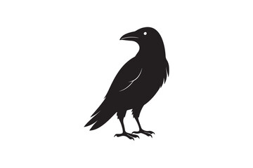 Fototapeta premium Crow silhouette vector illustration,