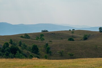 Obraz premium Rolling grassy hills with scattered trees and misty mountains. Durmitor National Park