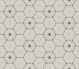 Vector minimalist geometric seamless pattern. Subtle black and white abstract texture with hexagonal grid, thin lines, circles, floral silhouettes, lattice. Delicate geo background. Repeated design
