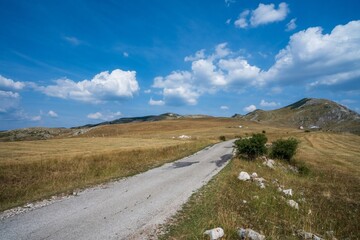 Winding country road through grassy hills and mountains. Durmitor National Park