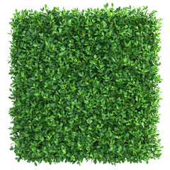 A dense green hedge square, rich in foliage, ideal for landscaping and design purposes.