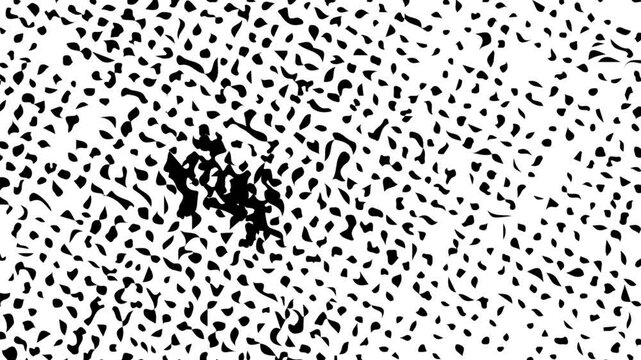 Halftone Texture Loop - MPS - 017