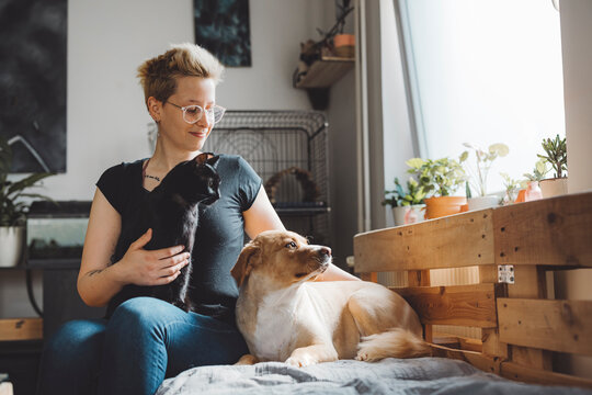 A person with short hair and glasses sits on a bed, holding a black cat. A dog lies beside them, looking out the window. The room features plants and a cozy atmosphere.
