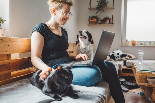 A woman sitting on a wooden sofa, working on a laptop. A black cat is resting on her lap, while a dog is playfully behind her. The room has plants and a cozy atmosphere.