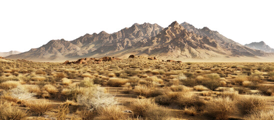 PNG Desert mountain landscape wallpaper