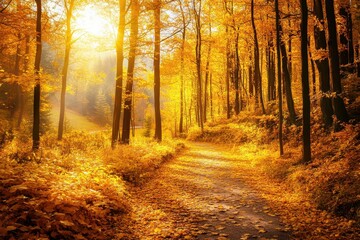 Fototapeta premium A golden forest in autumn, sunlight filtering through the leaves creating an enchanting atmosphere The trees stand tall and majestic with vibrant hues of yellow and orange Generative AI