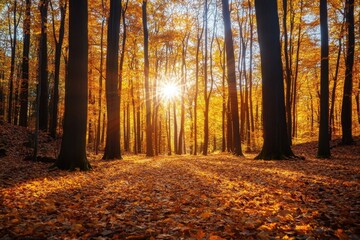 Fototapeta premium A forest of trees in autumn, with leaves turned golden and the sun shining through them, creating an enchanting scene of nature's beauty Generative AI