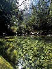 Pequeño lago o río en la sierra de Cazorla en Jaén