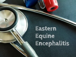 Eastern equine encephalitis (EEE) virus term, commonly called Triple E or sleeping sickness, medical conceptual image.
