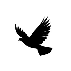 Obraz premium silhouette of a pigeon with transparent background