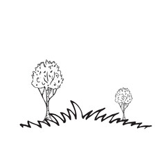 Nature in graphics. Hand draws graphic illustrations on a white background. Graphic native theme for design