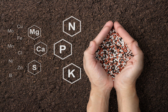 Chemical fertilizers . nitrogen - phosphate - potassium (N-P-K)