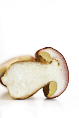 Sliced wild porcini mushroom isolated on white background. Wormy slice of boletus fungi. Worm trace in the fungus flesh. Harvesting for winter. Preparing for drying. Selective focus. Copy space