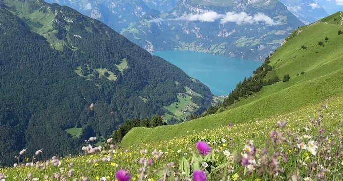 Stoos Ridge Hiking Trail in Switzerland in summer