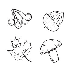  Graphic forest theme. Hand draws graphic illustrations on a white background. Graphic forest theme for design