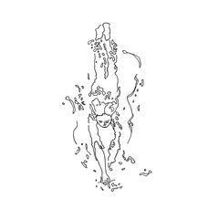 Silhouette d'une jeune femme vue de haut qui se baigne et nage dans l'eau avec des vaguelettes autour d'elle. Esquisse, design à la main en noir et blanc minimaliste et épuré