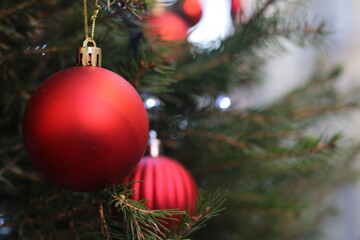 Beautiful red ornaments hanging from a Christmas tree with soft lighting during the holiday season