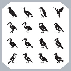 Obraz premium Set of black bird silhouettes and birds collection, bird set design. Eagle, Parrot, Penguin, Owl, Sparrow, Peacock, Flamingo, Hummingbird, Ostrich, Hawk.