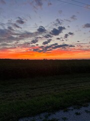 sunset over the field