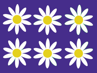 chamomile daisy icons in a flat design style, each featuring a round flower