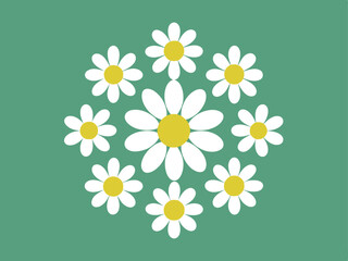 chamomile daisy icons in a flat design style, each featuring a round flower