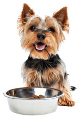 PNG  Happy dog with food bowl