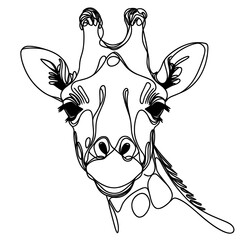 Closeup the Giraffe in a line drawing style