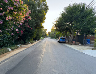 rural American neighborhood street (trees blooming with pink and red flowers, fences, parked car, street signs, telephone poles and wires) - Los Angeles, CA