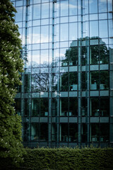 Fototapeta premium Glass office building surrounded with green grass and trees
