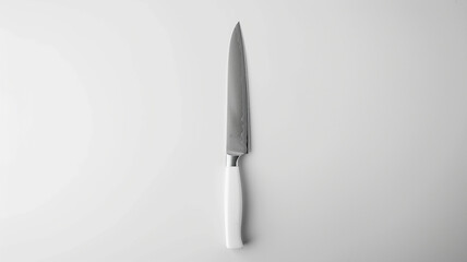 Sleek stainless steel kitchen knife on a clear white bacgground