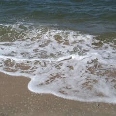 Fine lace of the sea