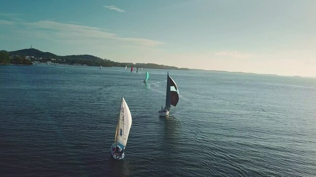 sailboats are racing on the water next to port stephen in Australia. Aerial shot. Newcastle