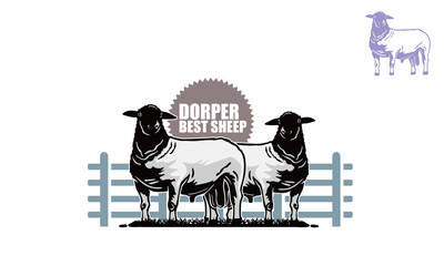 big and strong dorper sheep logo, silhouette of healthy and happy ewe vector illustrations