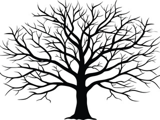 Obraz premium Adobe Illustrator Artwork