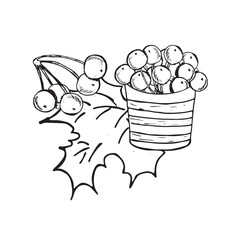  Graphic forest theme. Hand draws graphic illustrations on a white background. Graphic forest theme for design