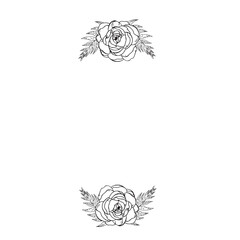  Graphic flowers. Hand draws graphic illustrations on a white background. Graphic flowers for design
