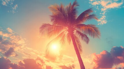 Obraz premium Silhouette of Palm Tree Against a Vibrant Sunset