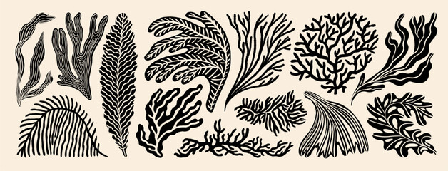 Coral reef or seaweeds vector underwater plant icons. Naive style leaves, algae or fronds. Hand drawn vector ink illustration. © Anastasiia Hevko