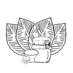 Pear theme in graphics. Hand draws graphic illustrations on a white background. Pear theme for design