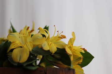 flores em decoração de festa